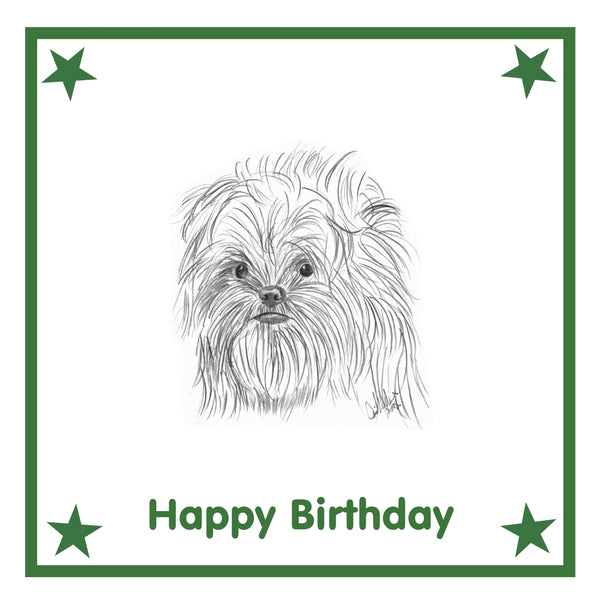 Affenpinscher Greeting Card Choice of 6 Designs BIRTHDAY, THINKING OF YOU, BLANK