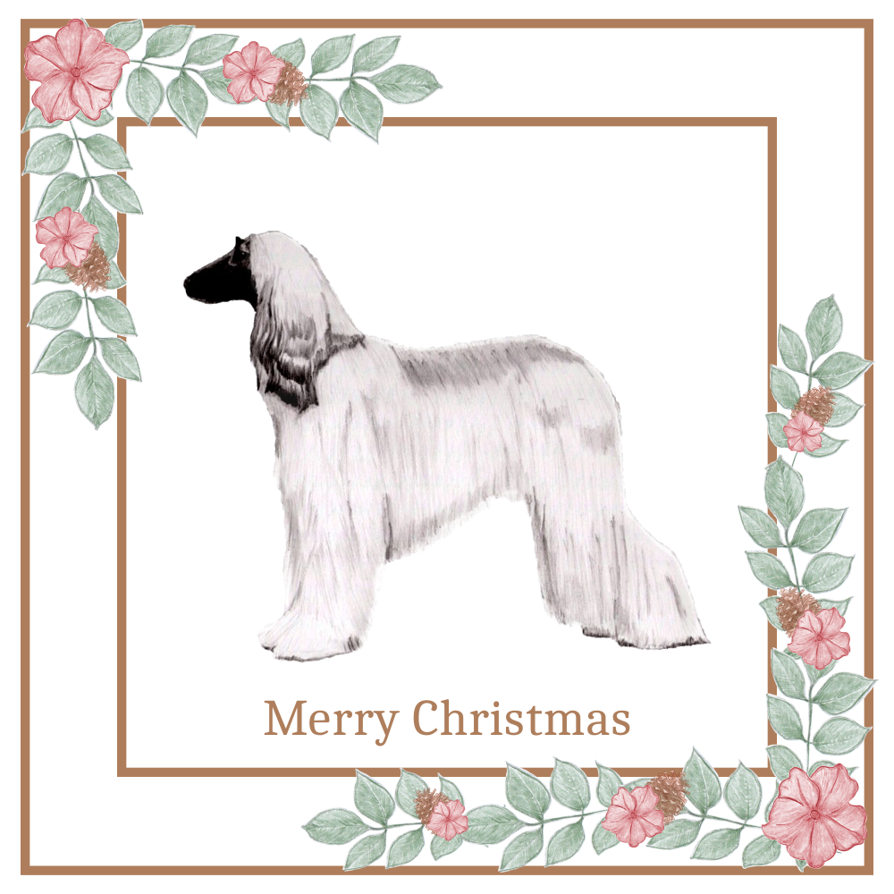 Afghan Hound Christmas Card Choice of 3 Card Designs Single or Multi Pack