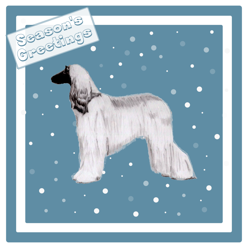 Afghan Hound Christmas Card Choice of 3 Card Designs Single or Multi Pack