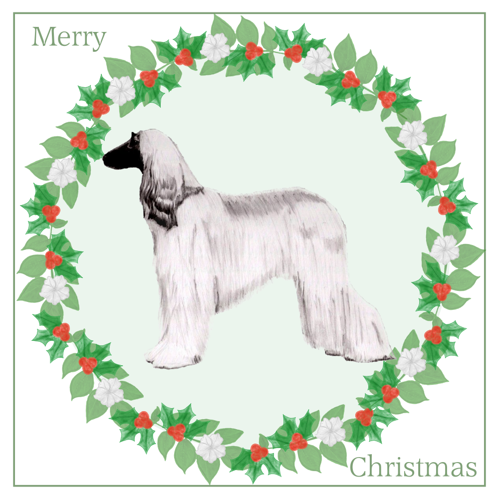 Afghan Hound Christmas Card Choice of 3 Card Designs Single or Multi Pack