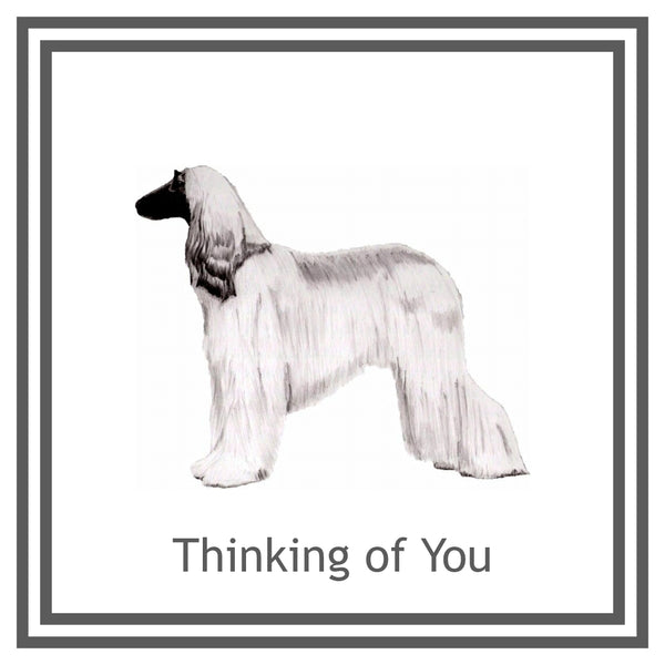 Afghan Hound Greeting Card Choice of 6 Designs BIRTHDAY, THINKING OF YOU, BLANK