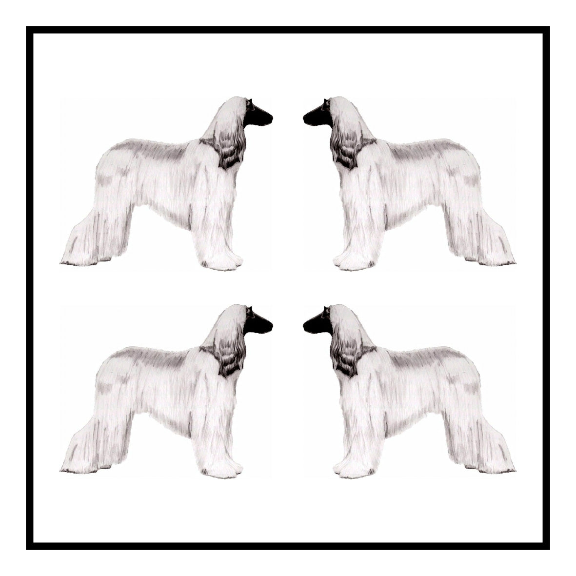 Afghan Hound Greeting Card Choice of 6 Designs BIRTHDAY, THINKING OF YOU, BLANK