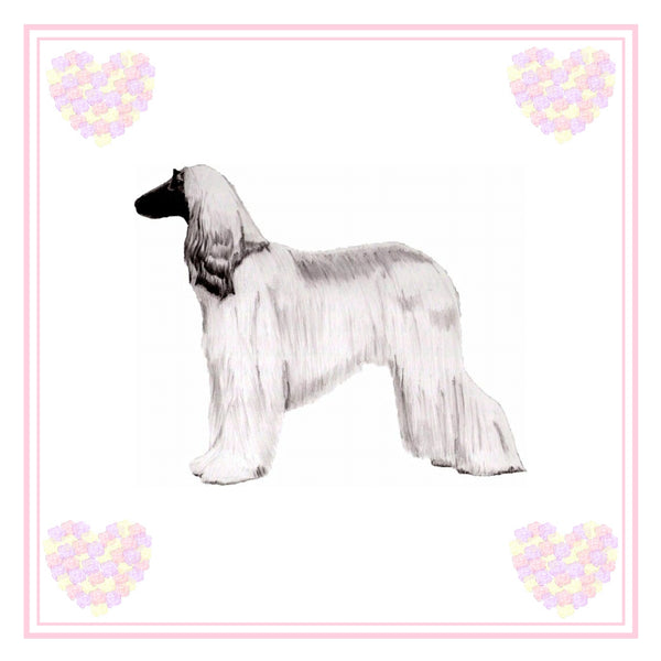 Afghan Hound Greeting Card Choice of 6 Designs BIRTHDAY, THINKING OF YOU, BLANK