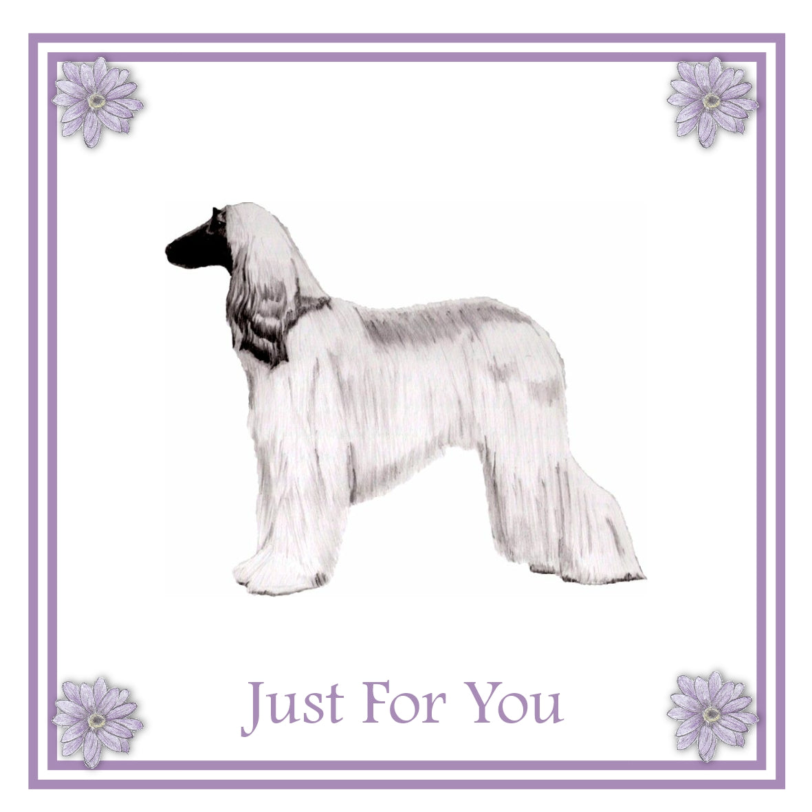 Afghan Hound Greeting Card Choice of 6 Designs BIRTHDAY, THINKING OF YOU, BLANK