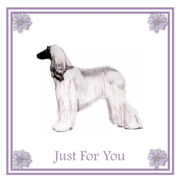 Afghan Hound Greeting Card Choice of 6 Designs BIRTHDAY, THINKING OF YOU, BLANK