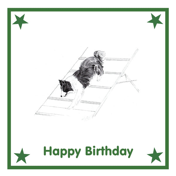 Agility dog Greeting Card Choice of 6 Designs BIRTHDAY, THINKING OF YOU, BLANK