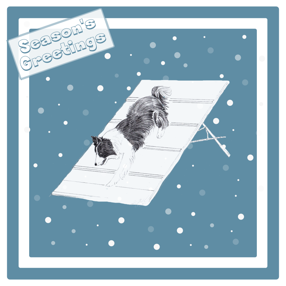 Agility Dog Christmas Card Choice of 3 Card Designs Single or Multi Pack