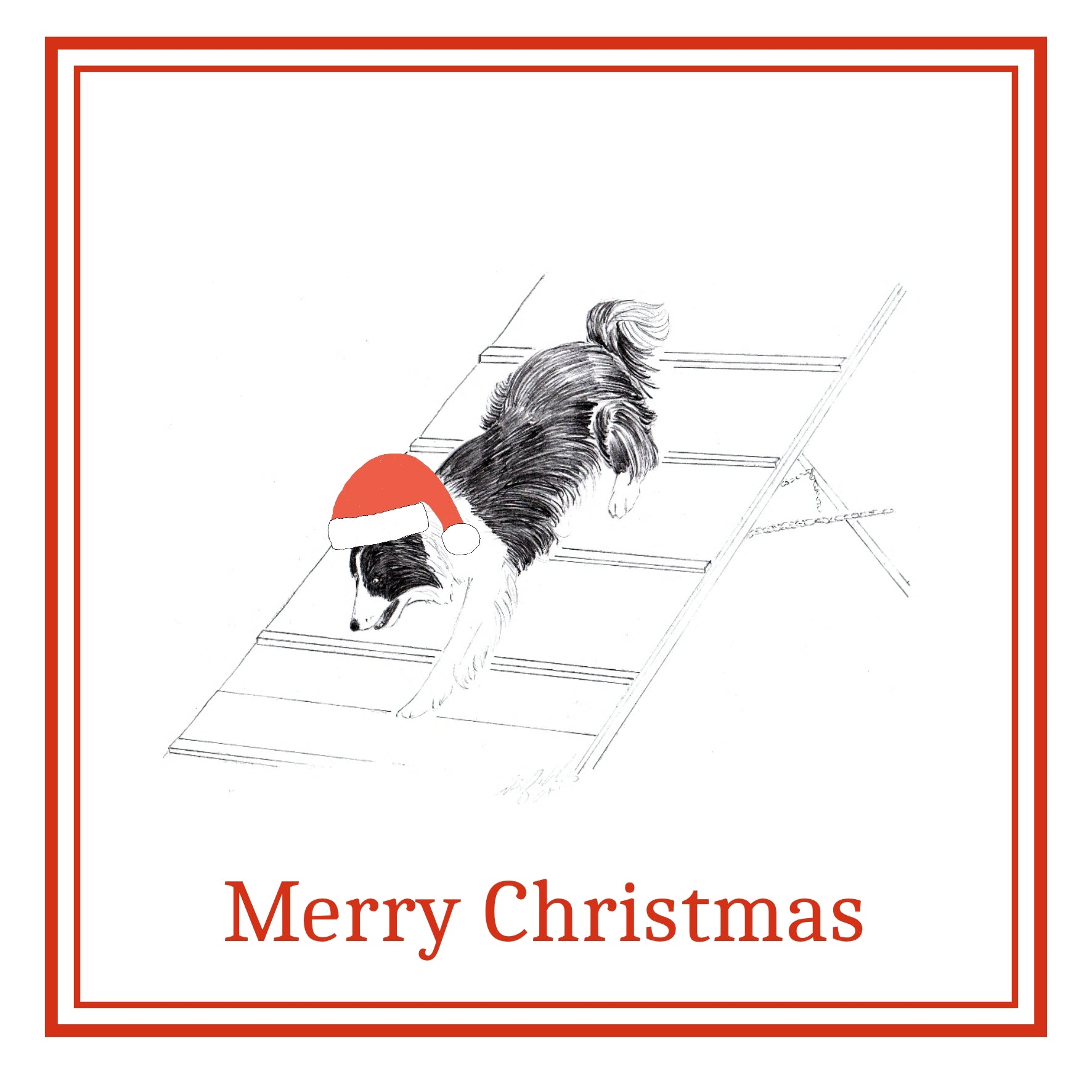 Agility Dog Christmas Cards Pack of 6