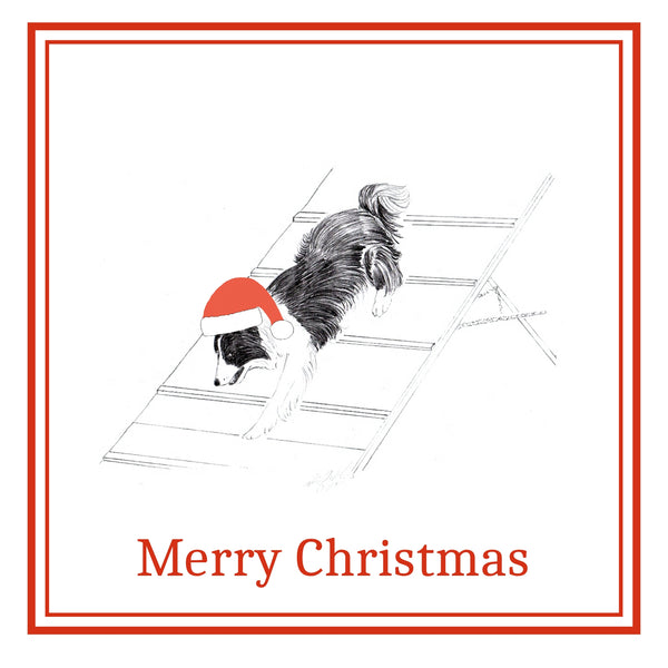 Agility Dog Christmas Cards Pack of 6