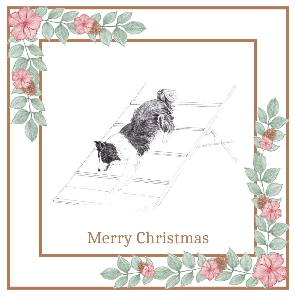 Agility Dog Christmas Card Choice of 3 Card Designs Single or Multi Pack