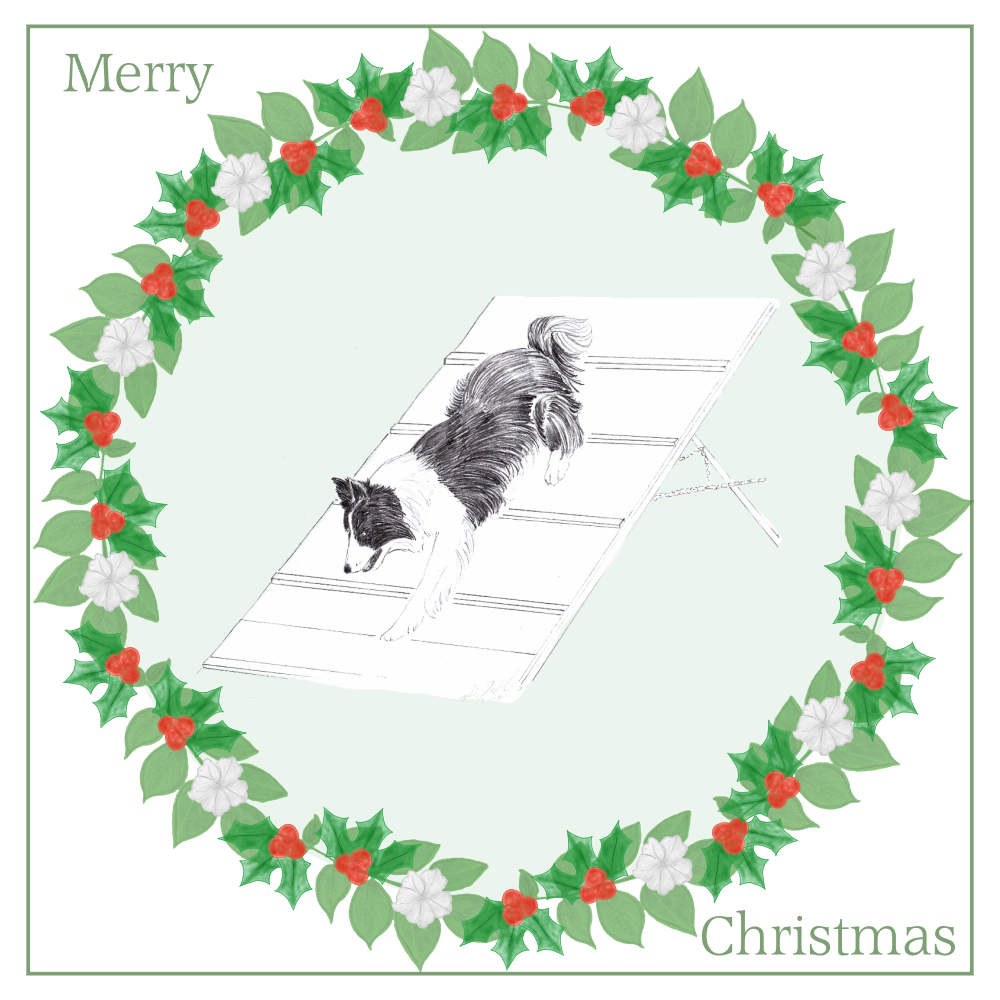 Agility Dog Christmas Card Choice of 3 Card Designs Single or Multi Pack