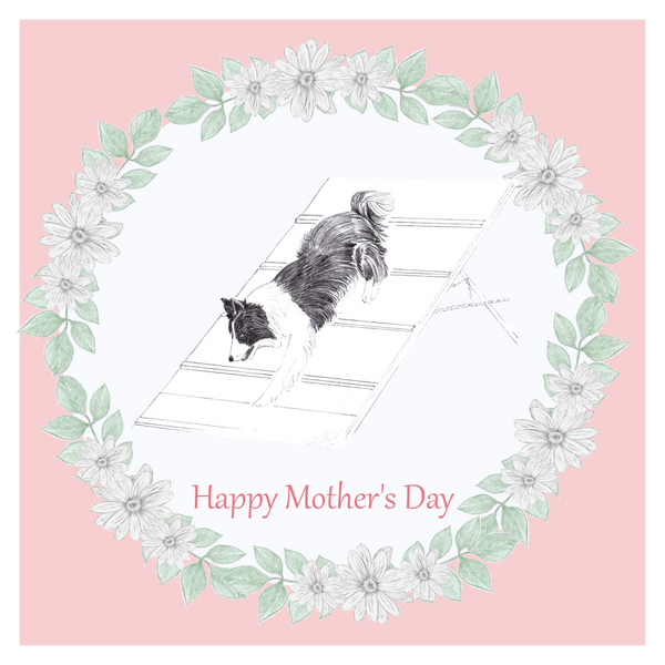 Agility Dog Collie Mother's Day Card Hand Made