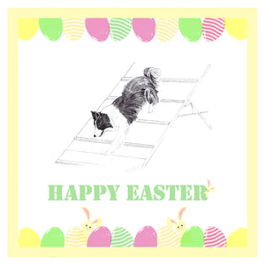 Agility Dog Easter Card 1 Card or Pack of 3 Cards