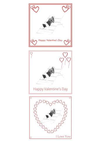 Agility Dog Valentine's Day Card Choice of 3 PERSONALISATION AVAILABLE