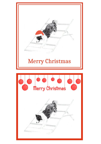 Agility Dog Christmas Cards Pack of 6