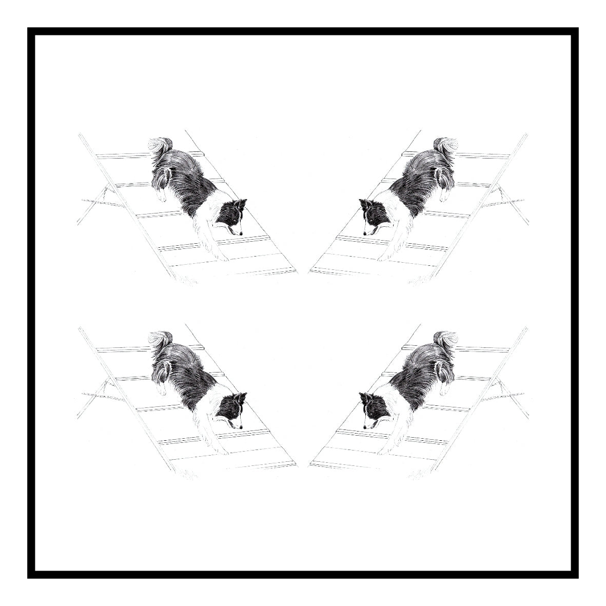 Agility dog Greeting Card Choice of 6 Designs BIRTHDAY, THINKING OF YOU, BLANK