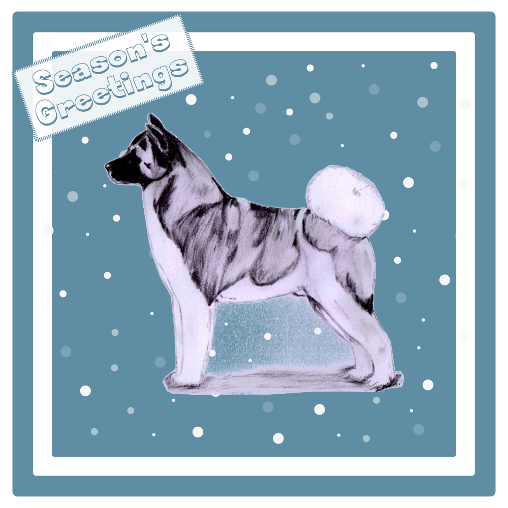 Akita Christmas Card Choice of 3 Card Designs Single or Multi Pack
