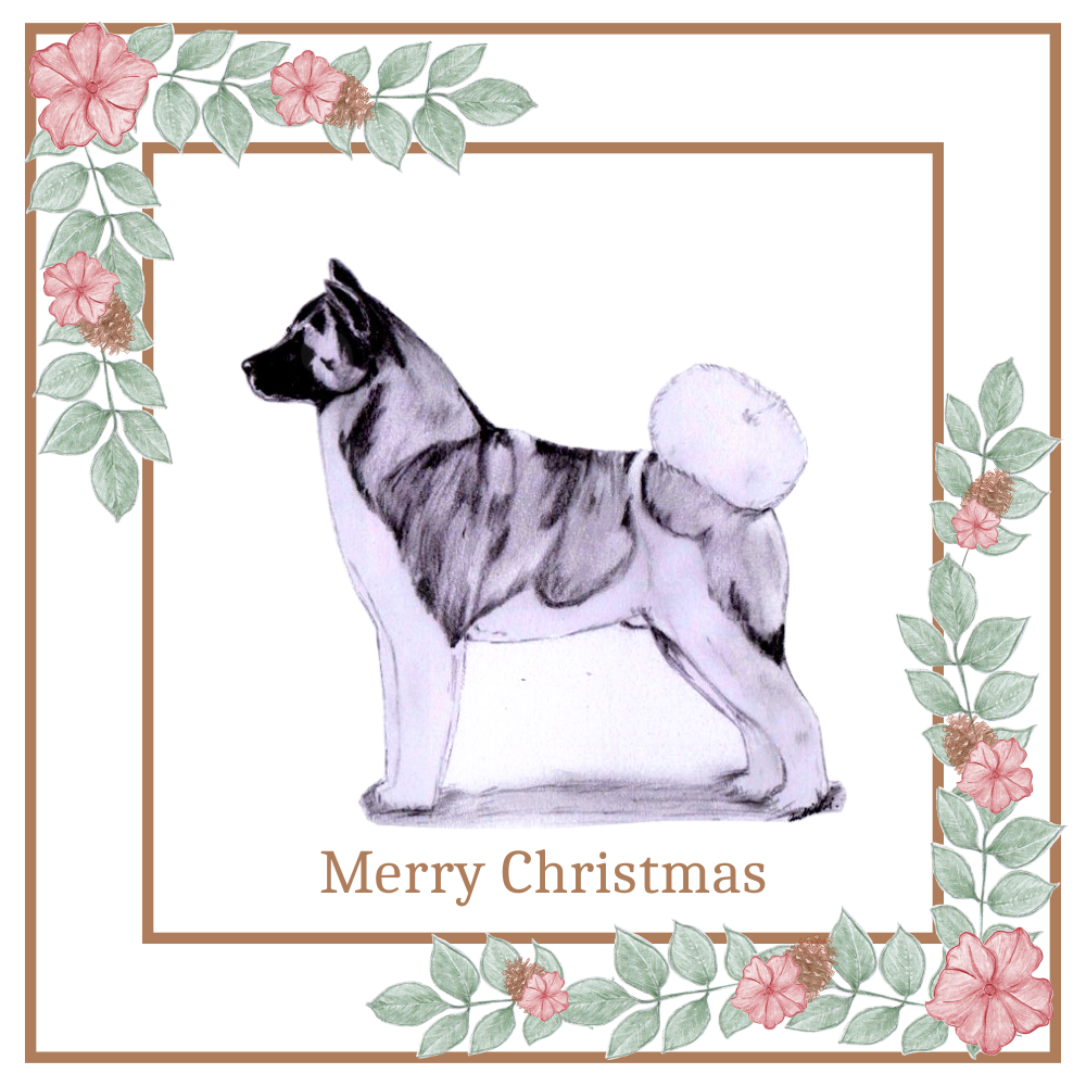 Akita Christmas Card Choice of 3 Card Designs Single or Multi Pack