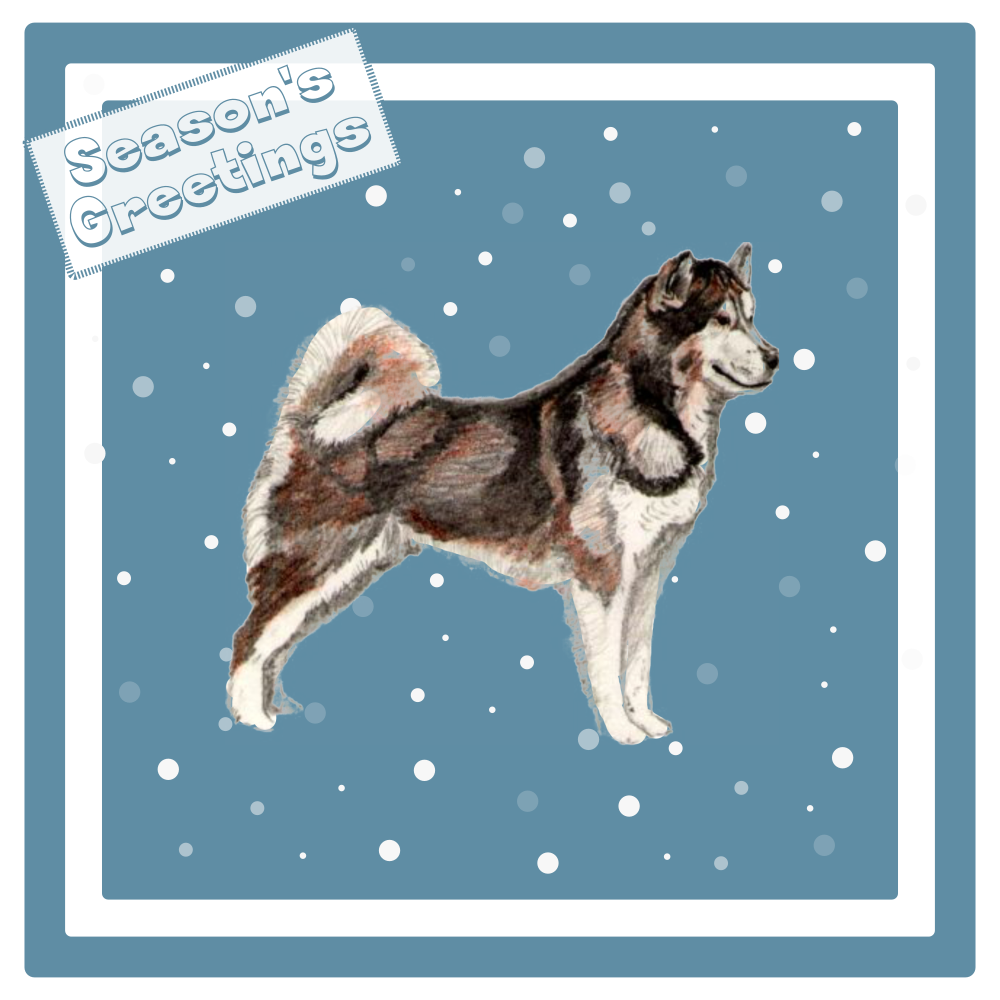 Alaskan Malamute Christmas Card Choice of 3 Card Designs Single or Multi Pack