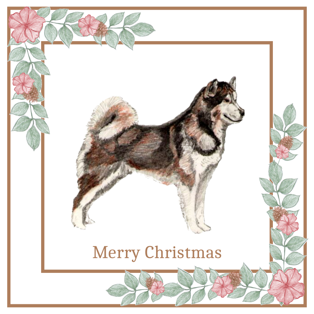 Alaskan Malamute Christmas Card Choice of 3 Card Designs Single or Multi Pack