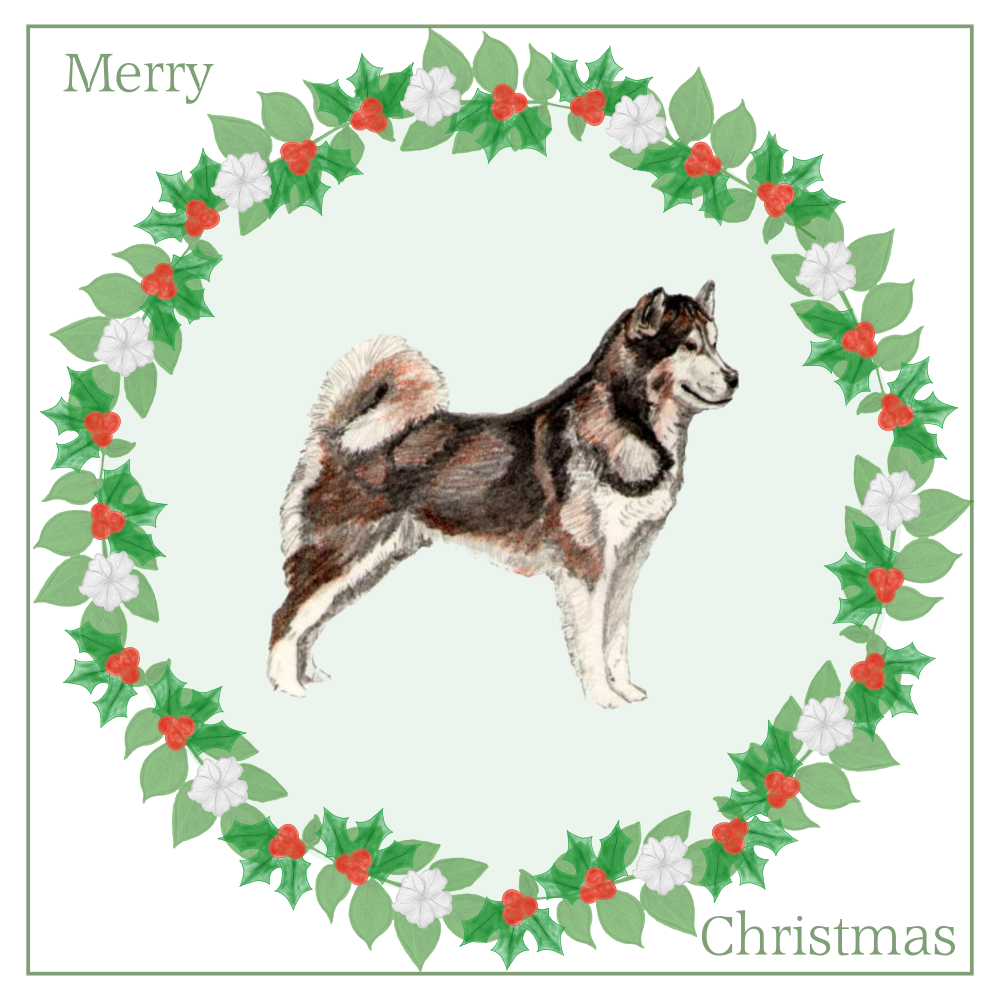 Alaskan Malamute Christmas Card Choice of 3 Card Designs Single or Multi Pack