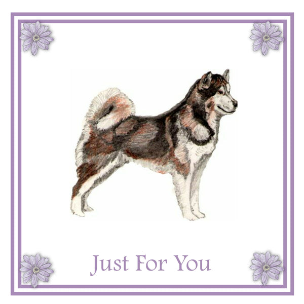 Alaskan Malamute Greeting Card Choice of 6 Designs BIRTHDAY, THINKING OF YOU, BLANK