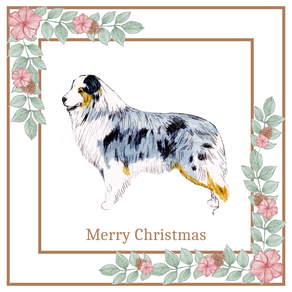 Basset Hound Christmas Card Choice of 3 Card Designs Single or Multi Pack