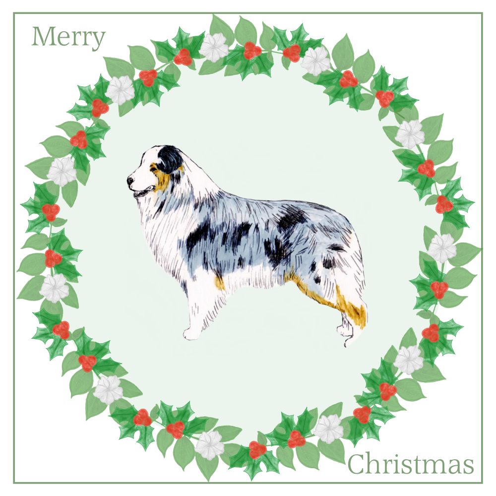 Australian Shepherd Christmas Card Choice of 3 Card Designs Single or Multi Pack