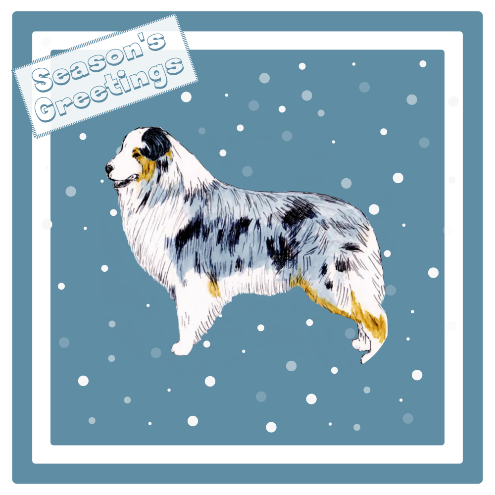Australian Shepherd Christmas Card Choice of 3 Card Designs Single or Multi Pack