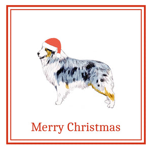 Australian Shepherd Christmas Cards Pack of 6