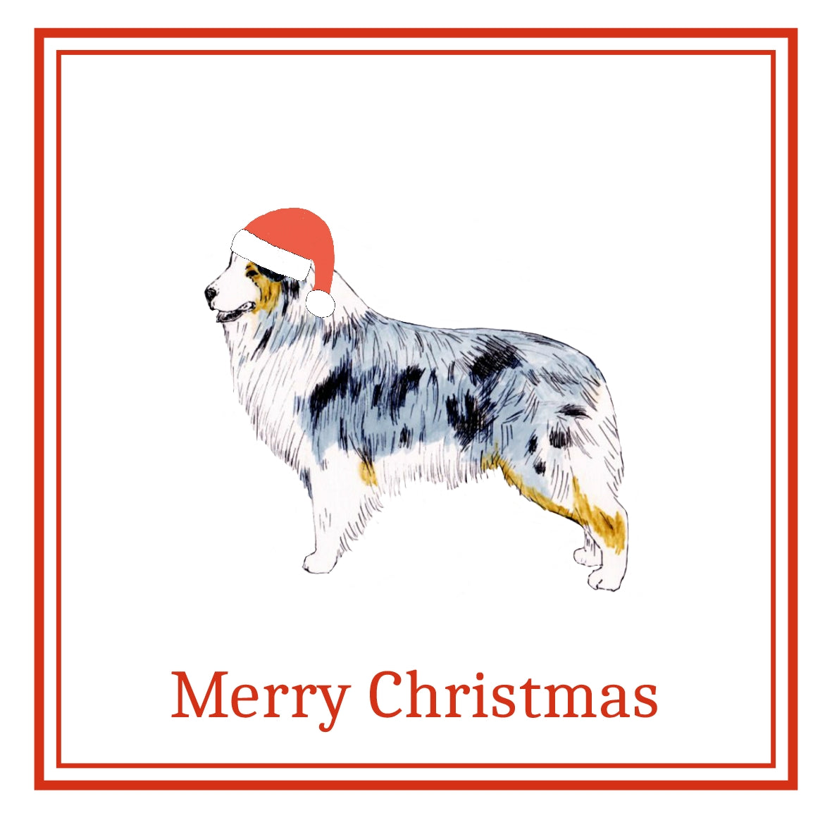 Australian Shepherd Christmas Cards Pack of 6