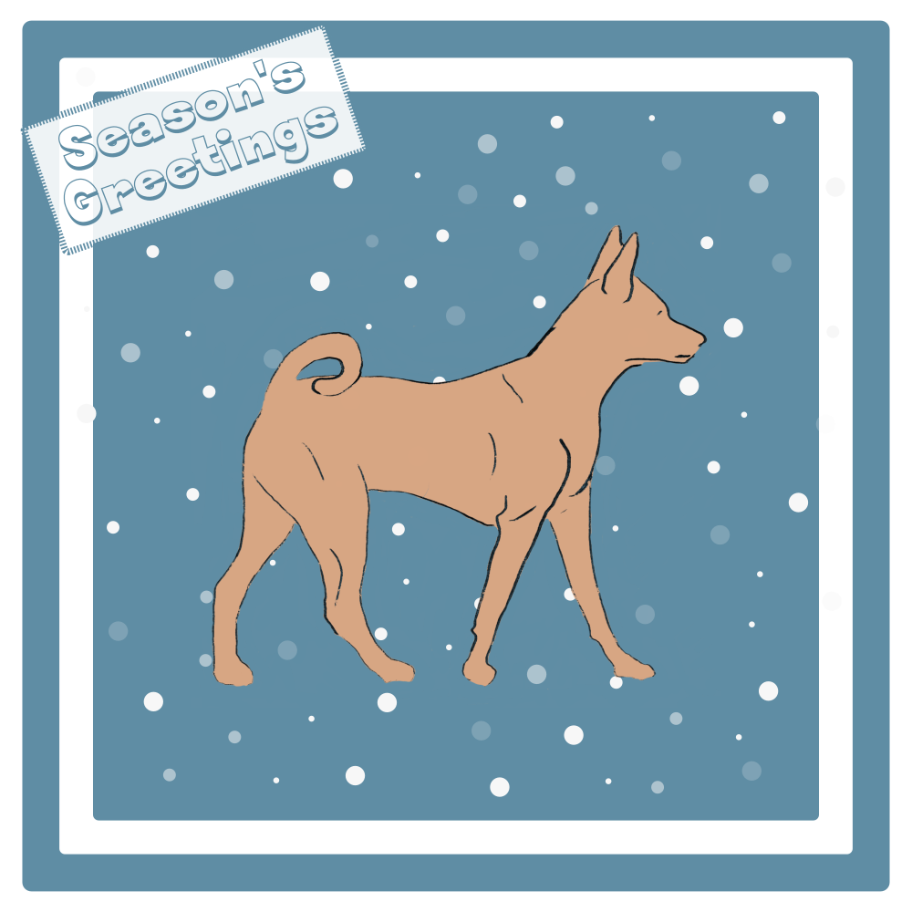 Basenji Christmas Card Choice of 3 Card Designs Single or Multi Pack