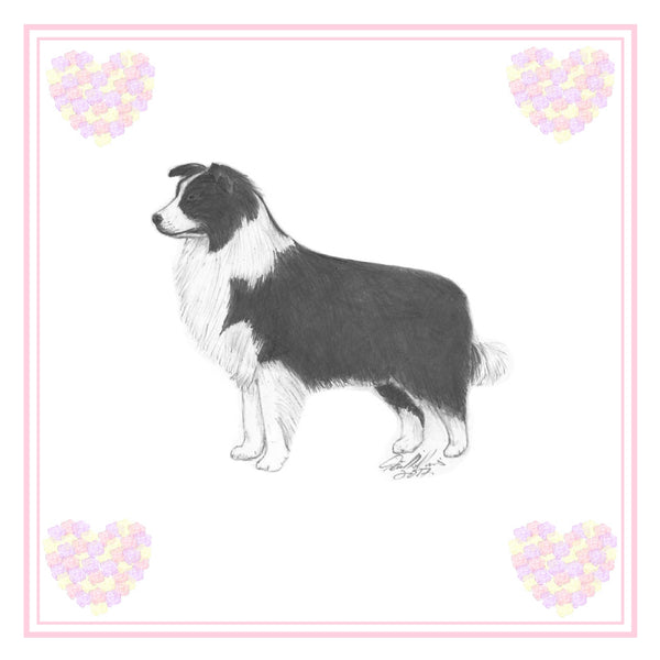 Border Collie Greeting Card Choice of 6 Designs BIRTHDAY, THINKING OF YOU, BLANK