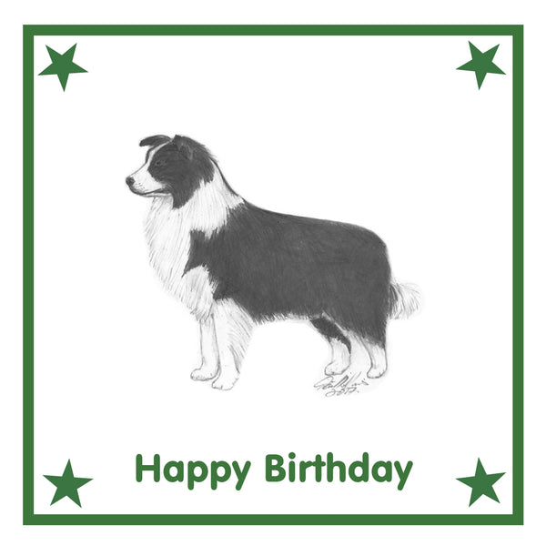 Border Collie Greeting Card Choice of 6 Designs BIRTHDAY, THINKING OF YOU, BLANK