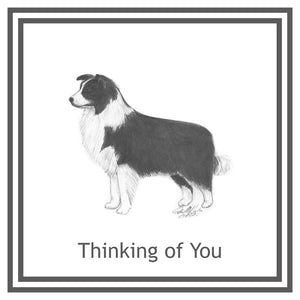 Border Collie Greeting Card Choice of 6 Designs BIRTHDAY, THINKING OF YOU, BLANK