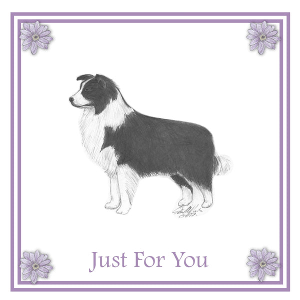 Border Collie Greeting Card Choice of 6 Designs BIRTHDAY, THINKING OF YOU, BLANK