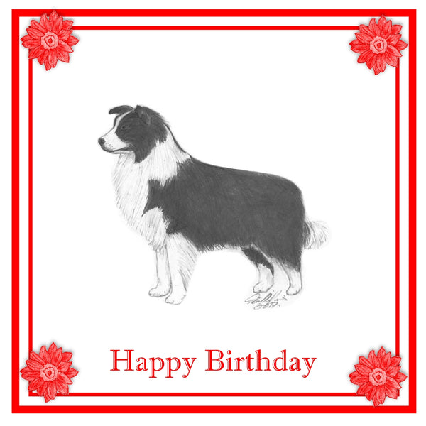 Border Collie Greeting Card Choice of 6 Designs BIRTHDAY, THINKING OF YOU, BLANK