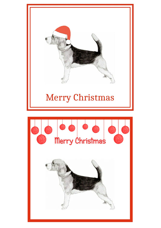 Beagle Christmas Cards Pack of 6