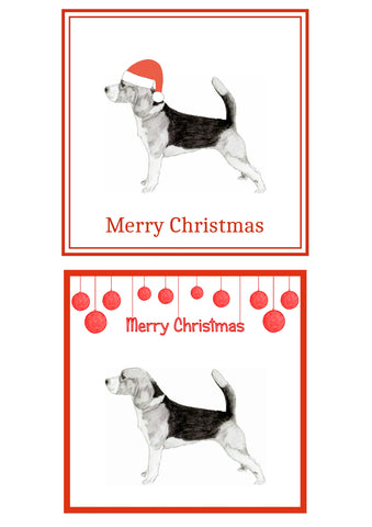Beagle Christmas Cards Pack of 6