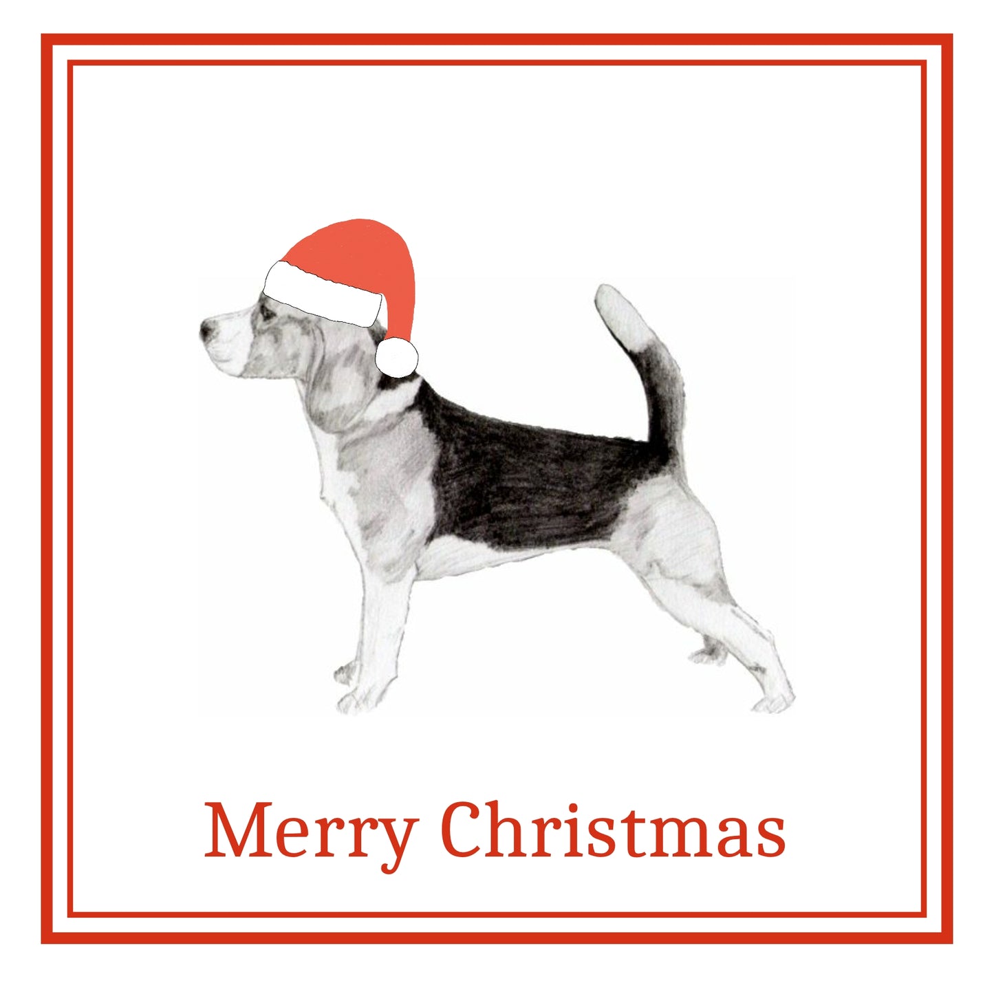 Beagle Christmas Cards Pack of 6