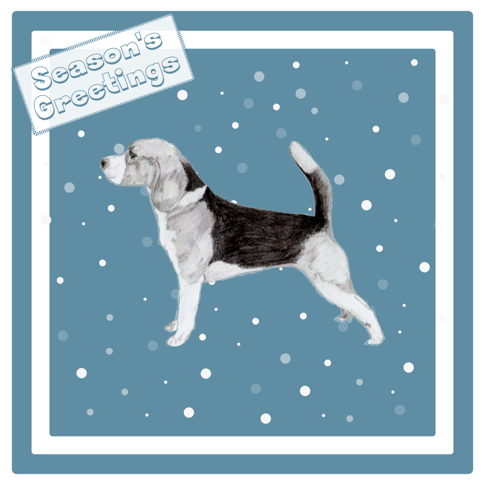 Beagle Christmas Card Choice of 3 Card Designs Single or Multi Pack