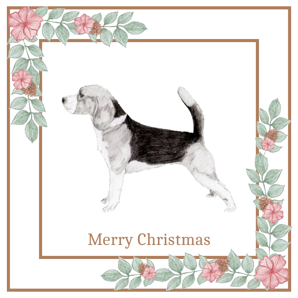 Beagle Christmas Card Choice of 3 Card Designs Single or Multi Pack