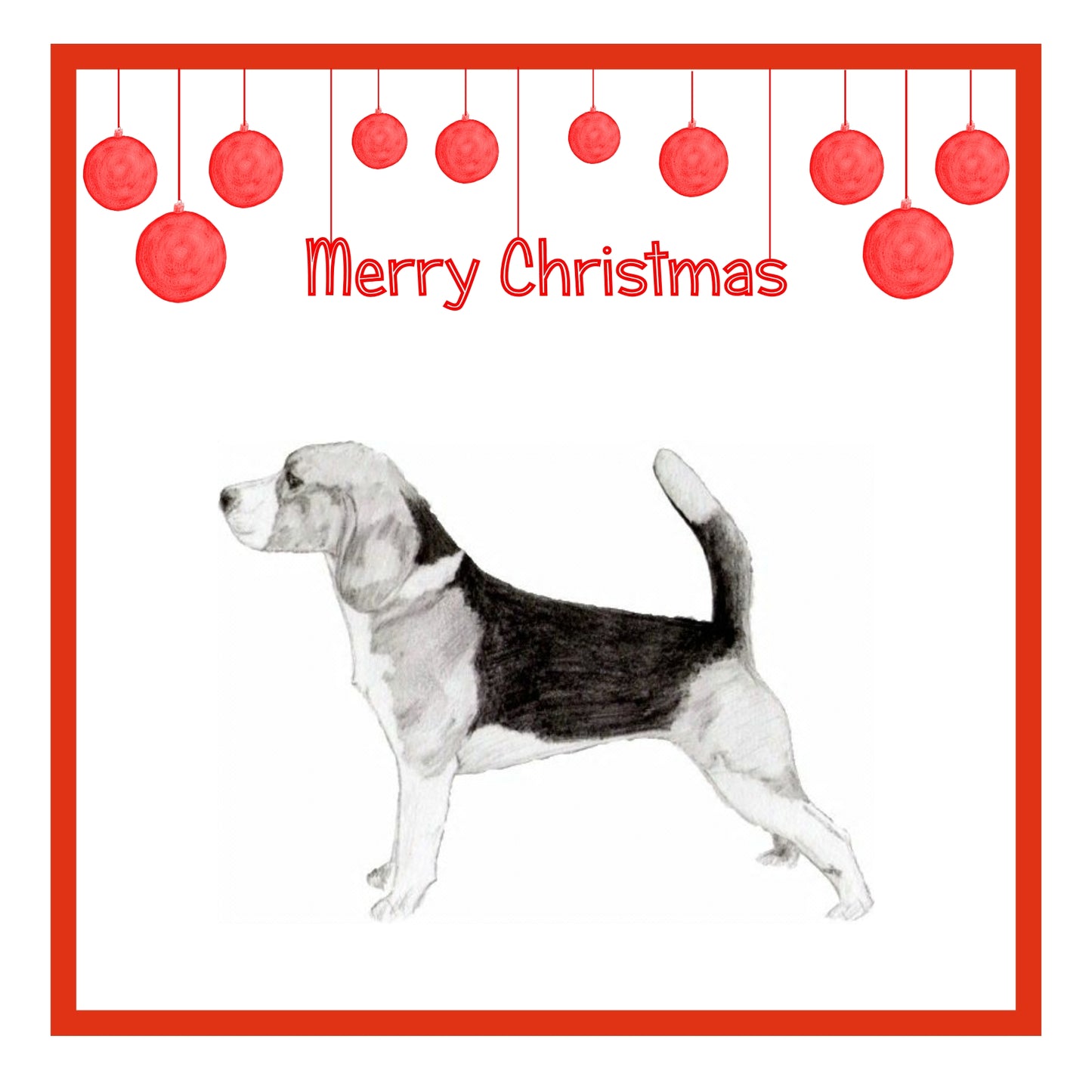 Beagle Christmas Cards Pack of 6