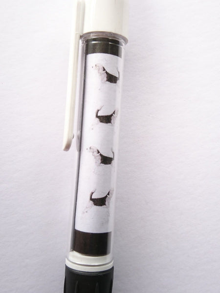 Beagle Pen