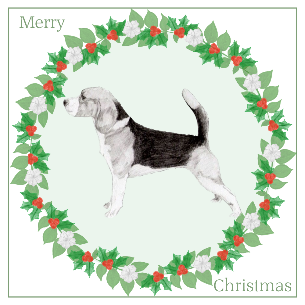 Beagle Christmas Card Choice of 3 Card Designs Single or Multi Pack