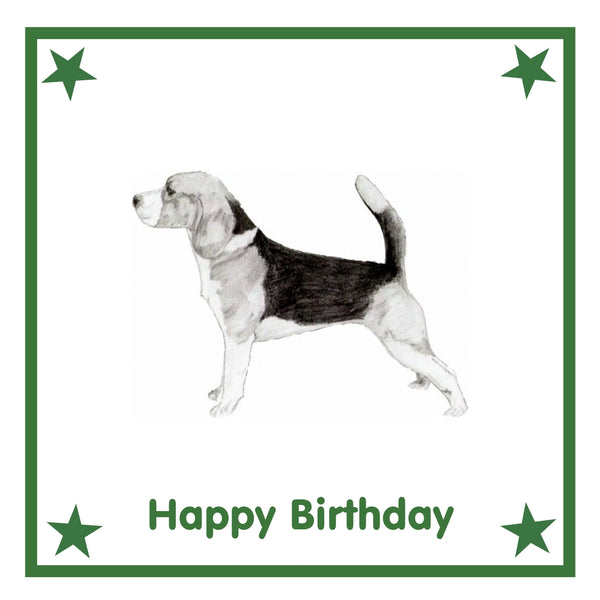 Beagle Greeting Card Choice of 6 Designs BIRTHDAY, THINKING OF YOU, BLANK