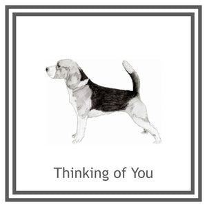 Two lambs Greeting Card Choice of 6 Designs BIRTHDAY, THINKING OF YOU, BLANK