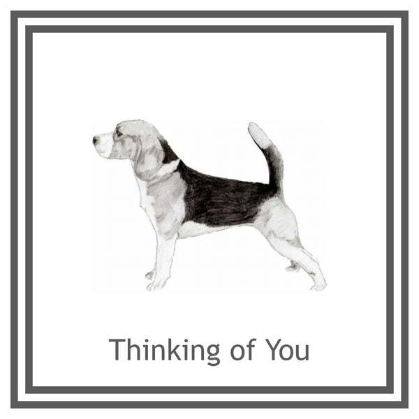 Beagle Greeting Card Choice of 6 Designs BIRTHDAY, THINKING OF YOU, BLANK