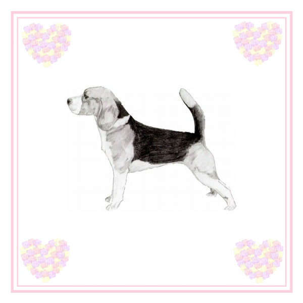 Beagle Greeting Card Choice of 6 Designs BIRTHDAY, THINKING OF YOU, BLANK