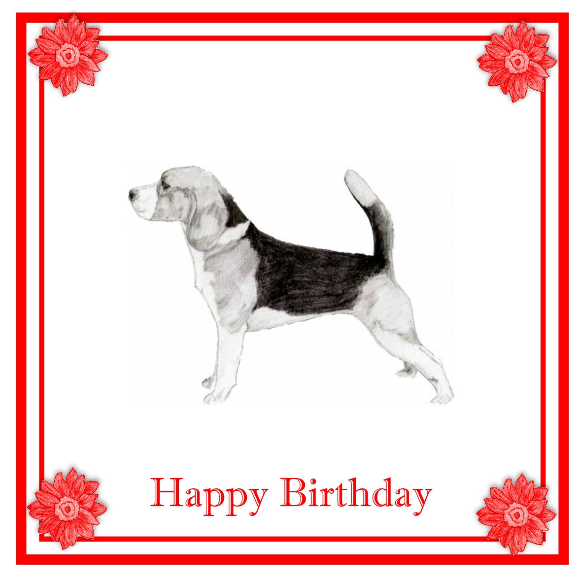 Hungarian Vizsla Greeting Card Choice of 6 Designs BIRTHDAY, THINKING OF YOU, BLANK